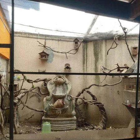 Residencial Montanhes Gæstehus Vila Real