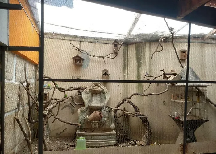 Residencial Montanhes Гостевой дом Вила-Реал